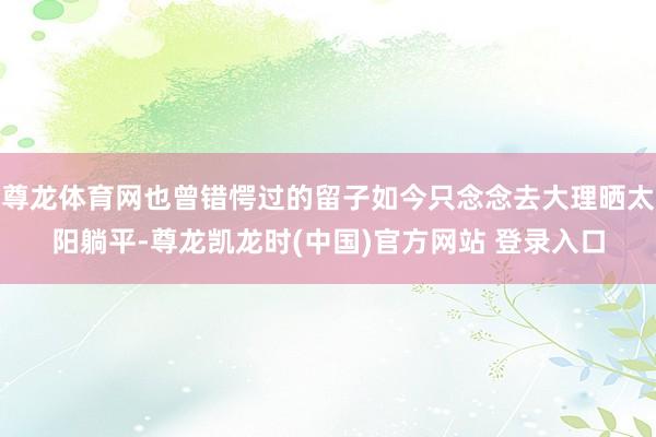 尊龙体育网也曾错愕过的留子如今只念念去大理晒太阳躺平-尊龙凯龙时(中国)官方网站 登录入口
