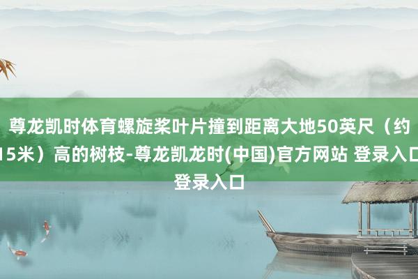 尊龙凯时体育螺旋桨叶片撞到距离大地50英尺（约15米）高的树枝-尊龙凯龙时(中国)官方网站 登录入口