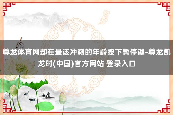 尊龙体育网却在最该冲刺的年龄按下暂停键-尊龙凯龙时(中国)官方网站 登录入口