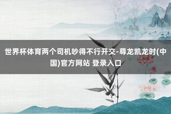 世界杯体育两个司机吵得不行开交-尊龙凯龙时(中国)官方网站 登录入口