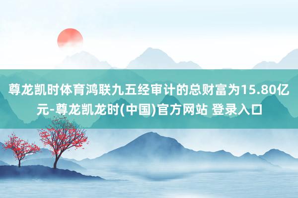 尊龙凯时体育鸿联九五经审计的总财富为15.80亿元-尊龙凯龙时(中国)官方网站 登录入口