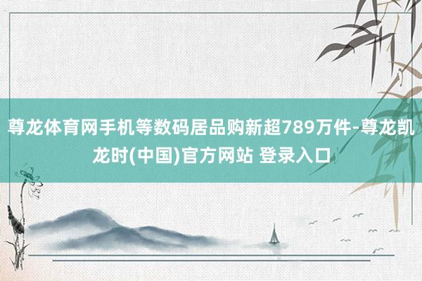 尊龙体育网手机等数码居品购新超789万件-尊龙凯龙时(中国)官方网站 登录入口