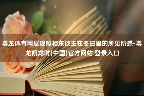 尊龙体育网展现照相东谈主在冬日里的所见所感-尊龙凯龙时(中国)官方网站 登录入口