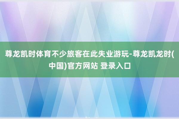 尊龙凯时体育不少旅客在此失业游玩-尊龙凯龙时(中国)官方网站 登录入口